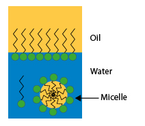 surfactant